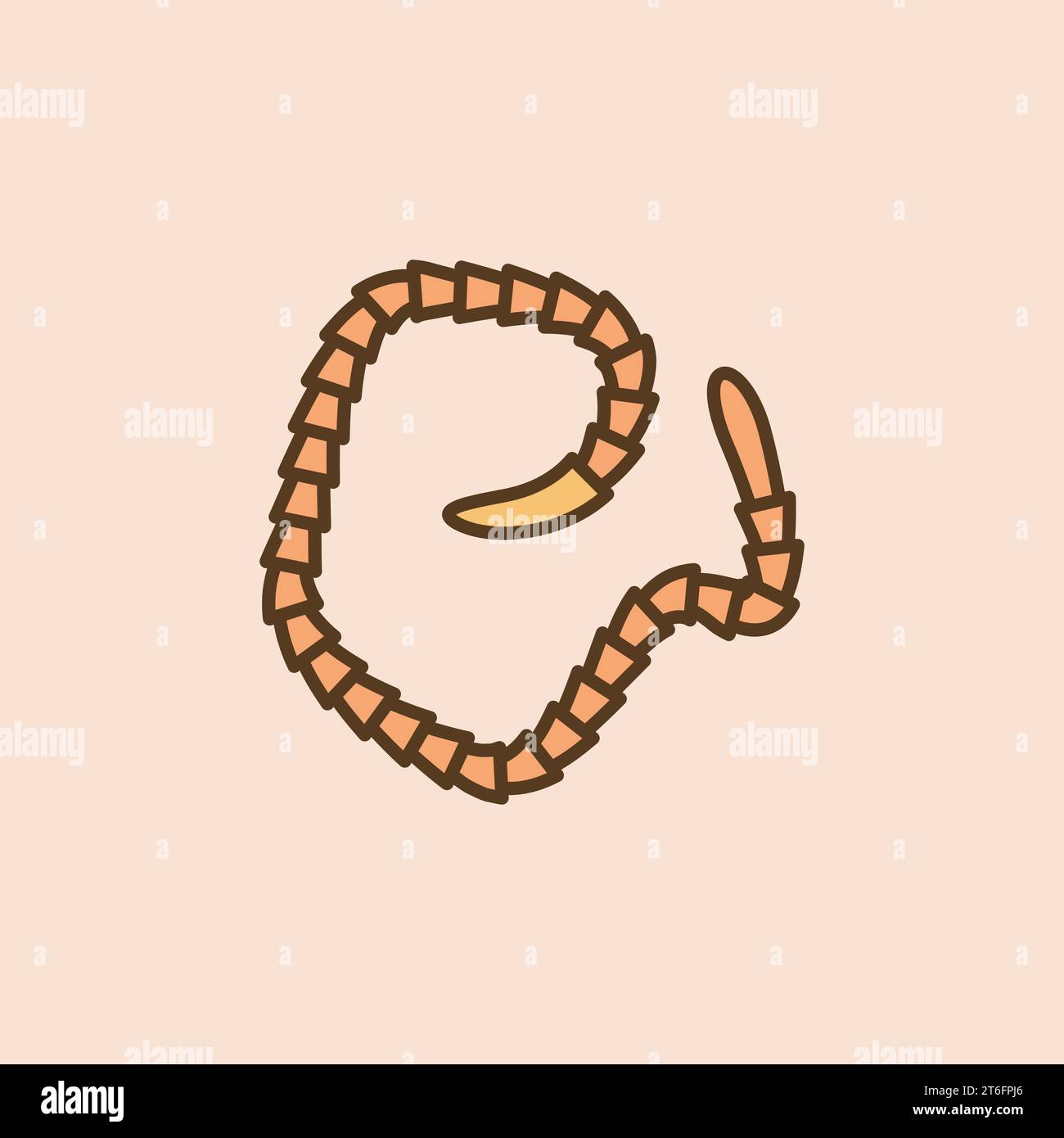 Tapeworm vector Segmented Worm concept colored icon or symbol Stock Vector
