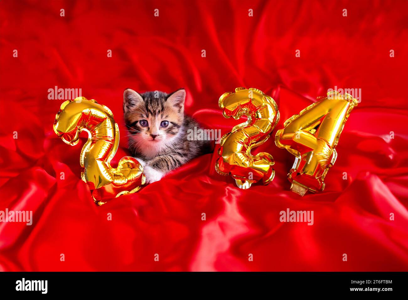 Christmas card cat 2024, Kitty with gold foil balloons number 2024 new