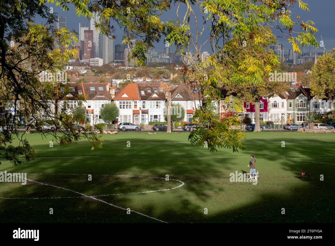 Looking through ash trees towards dof walkers, suburban residential
