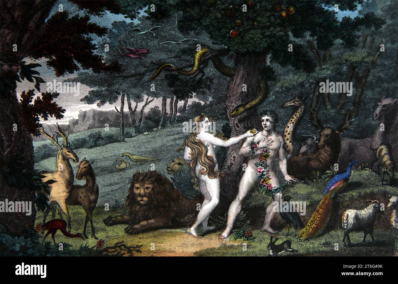 Illustration of Eve Tempting Adam with the Forbidden Fruit in the Garden of Eden From the Self-Interpreting Family Bible with Evangelical Commentary b Stock Photo