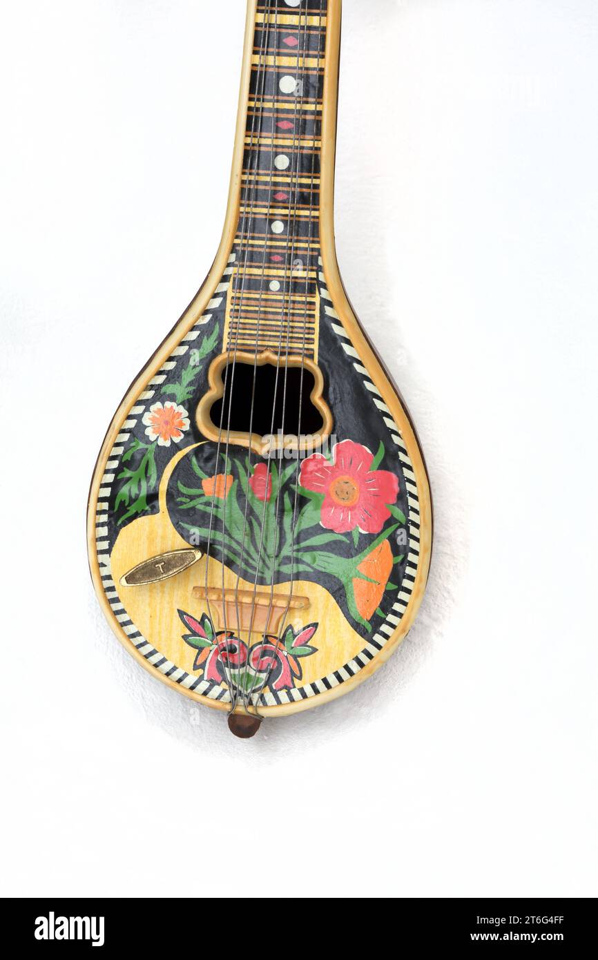 Box necked lute hires stock photography and images Alamy