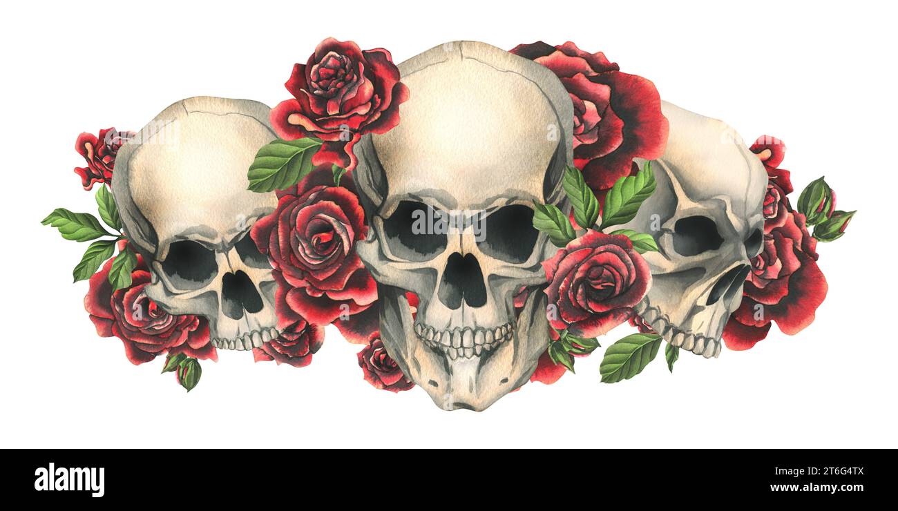 Real Skull Roses Human skulls with red roses and leaves. Hand drawn watercolor ...