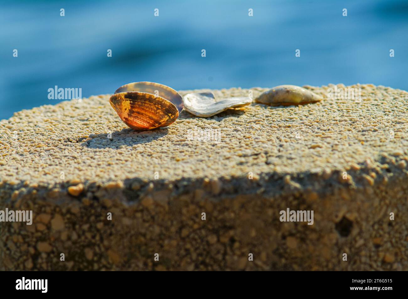 Aerial shells hi-res stock photography and images - Alamy