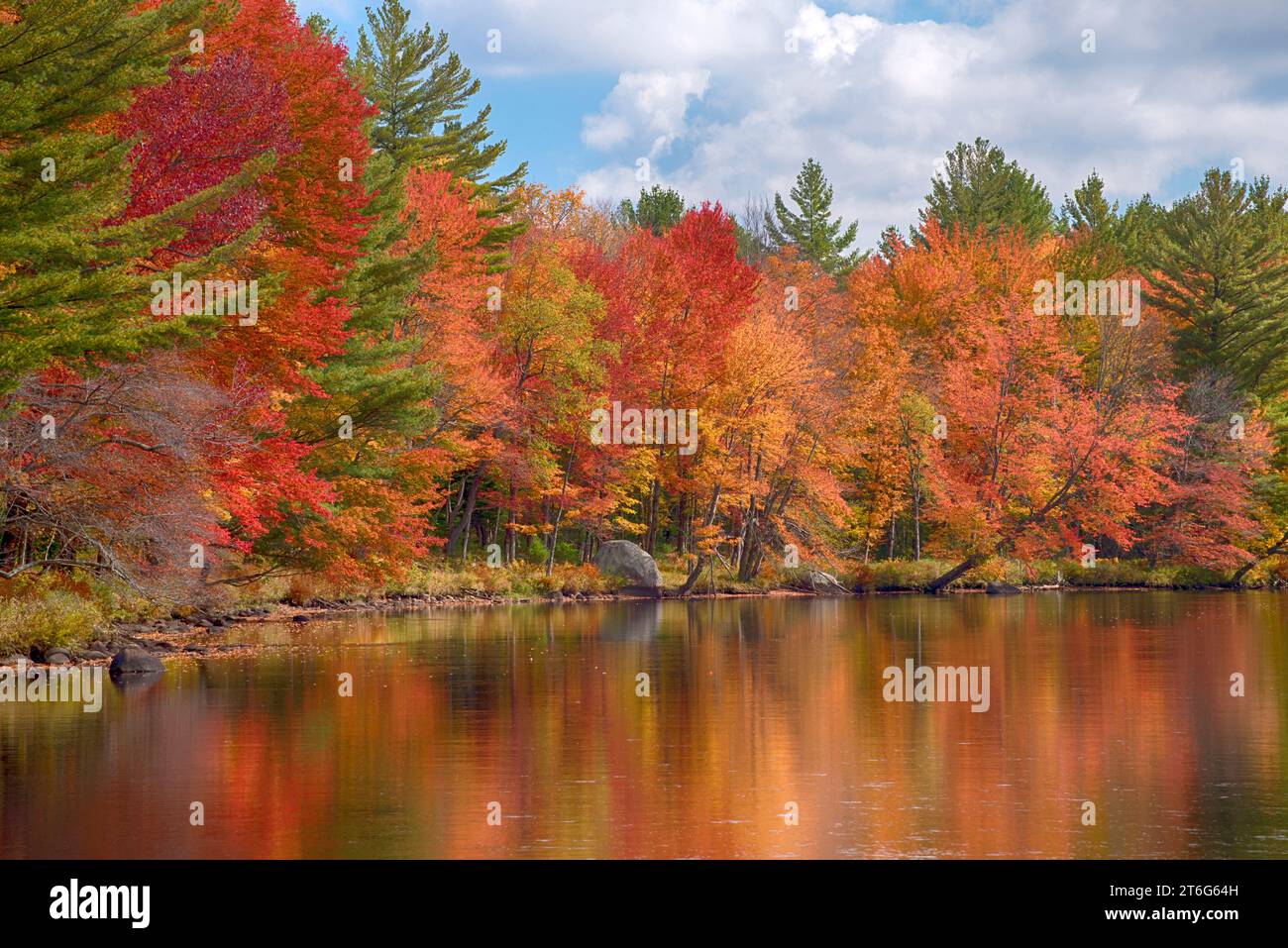 Autumn foliage along the Oswegatchie River, Adirondack Mountains State