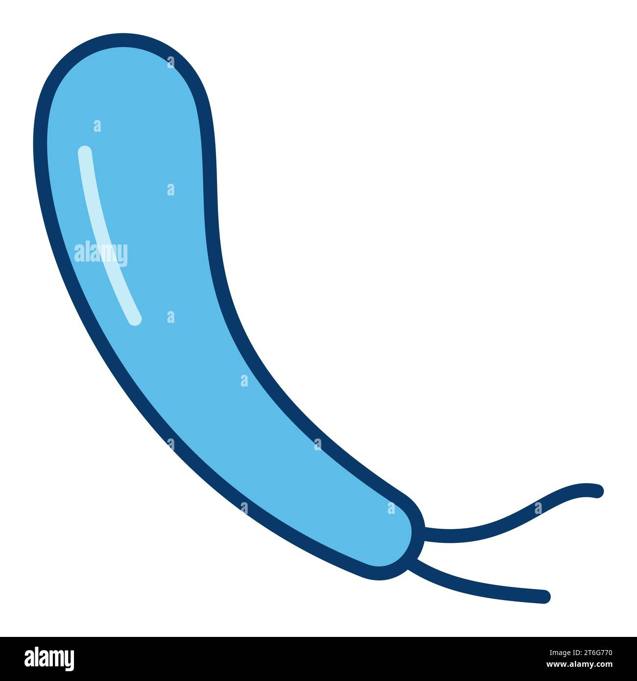 Spirillum vector Gram negative bacteria concept blue icon or sign Stock