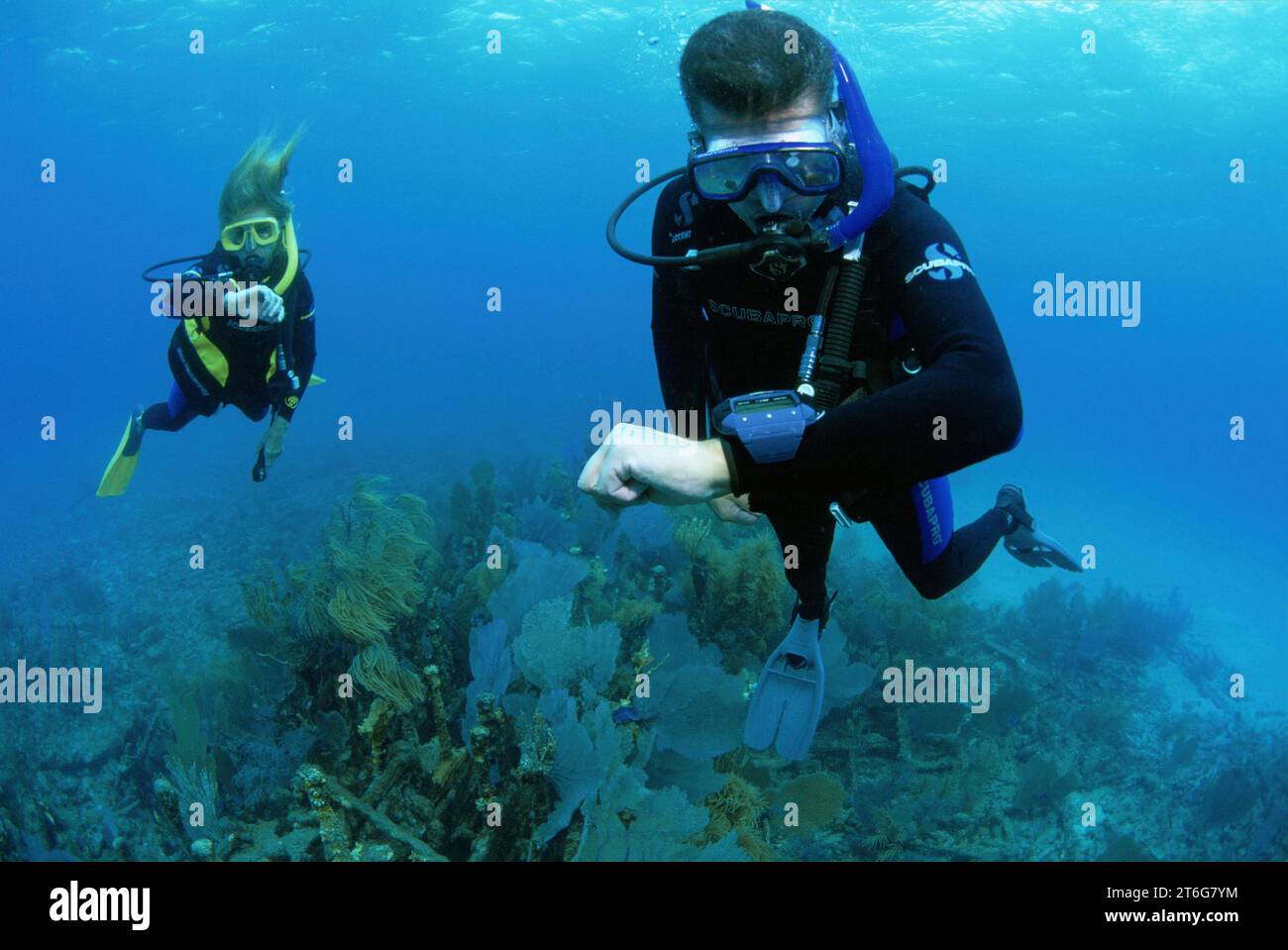 Scuba divers with dive computers, Key Largo, Florida, USA Stock Photo