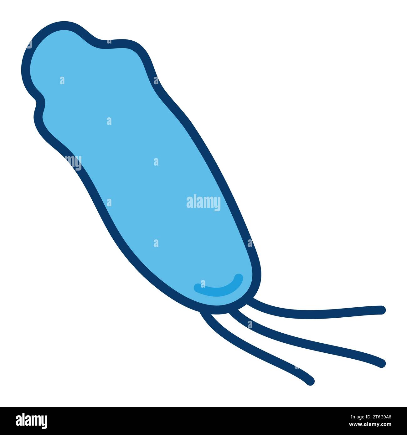 Spirillum Bacteria vector concept minimal blue icon or design element ...