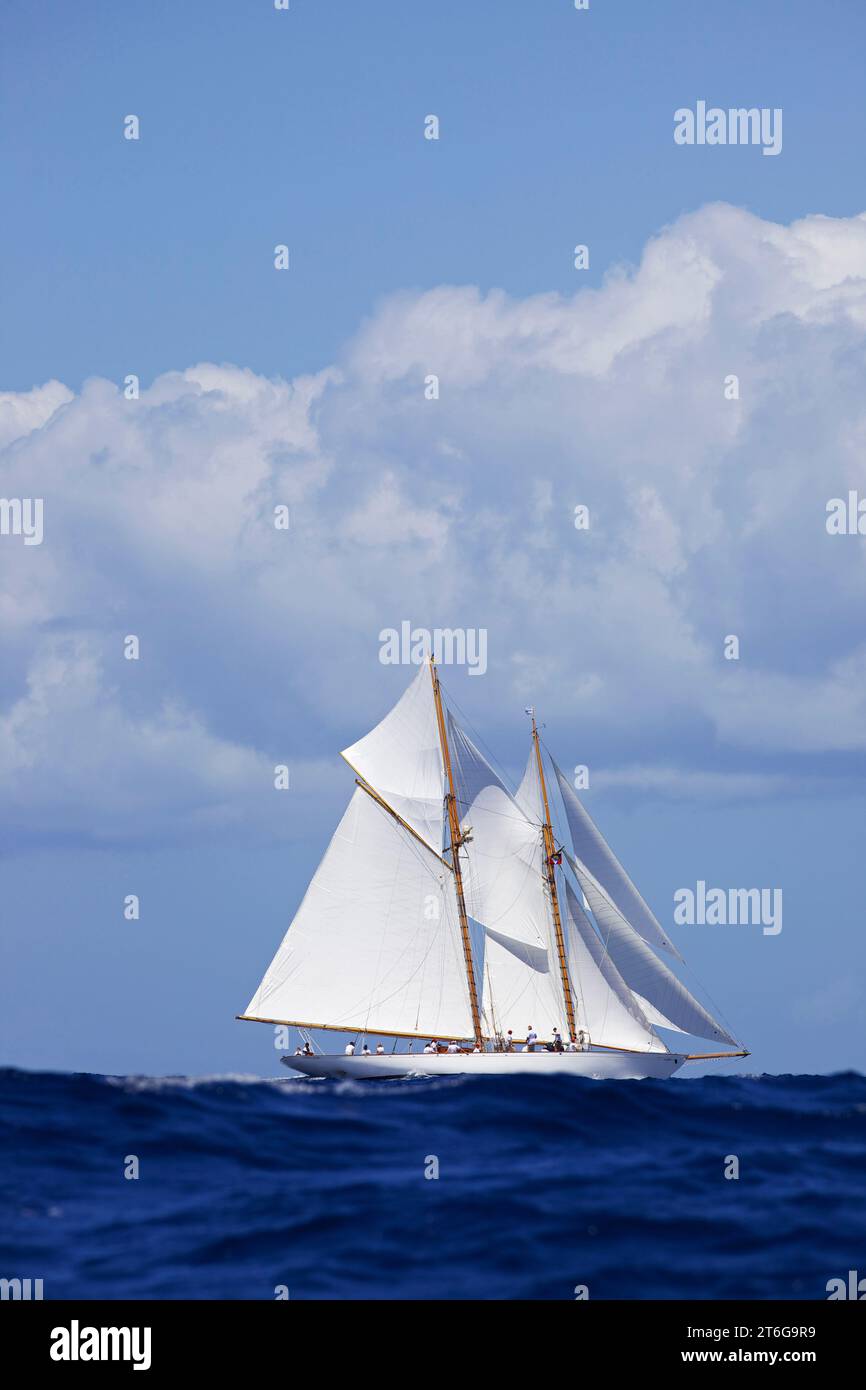 Sailing yacht 'Adventuress' races in the Antigua Classic Yacht Regatta, Antigua, British West Indies. Stock Photo