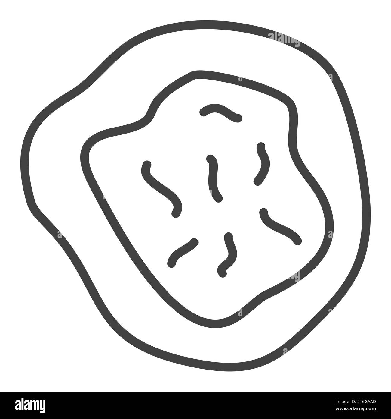 Bacteria vector Medical concept outline icon or design element Stock ...