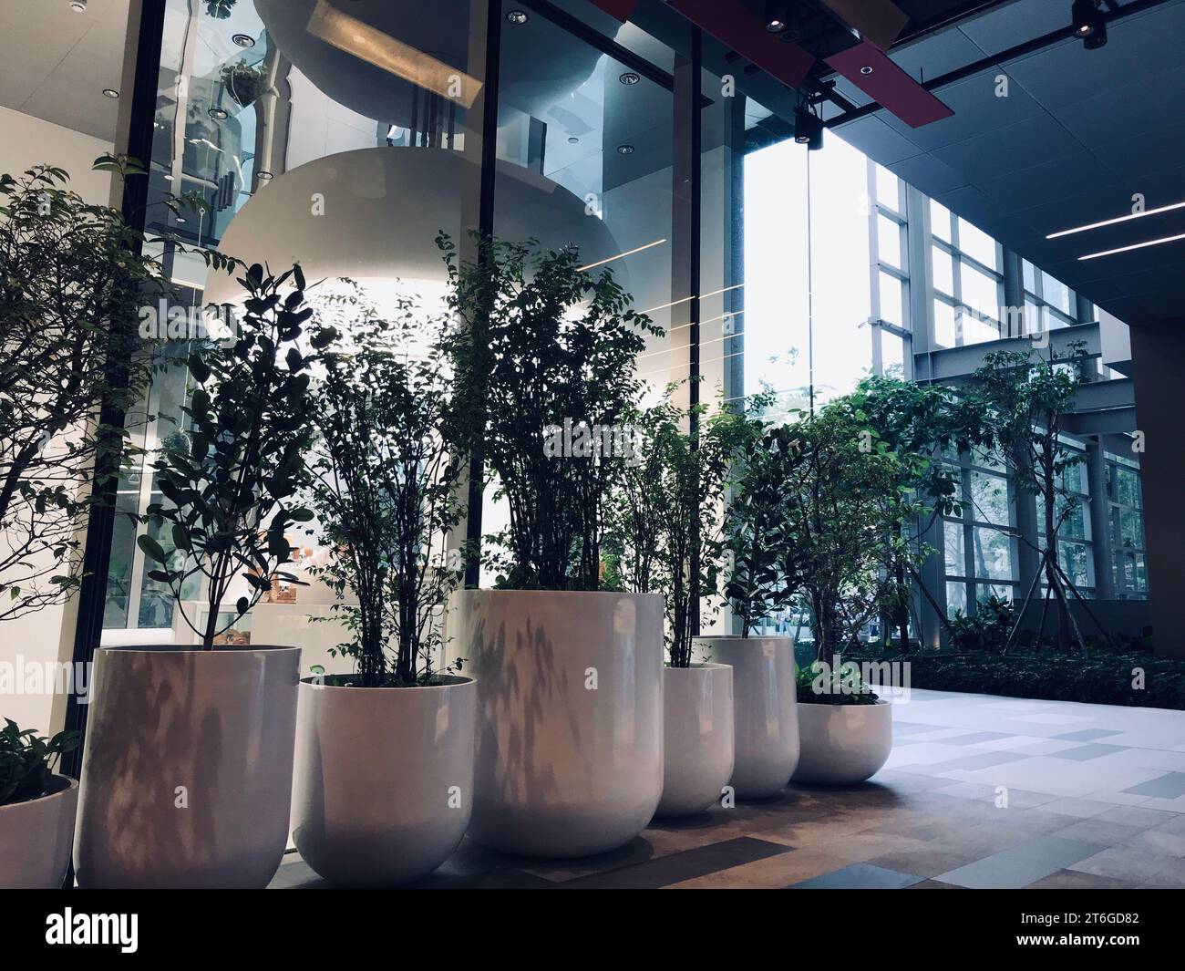 The row of beautiful indoor plant pots at a commercial building. The