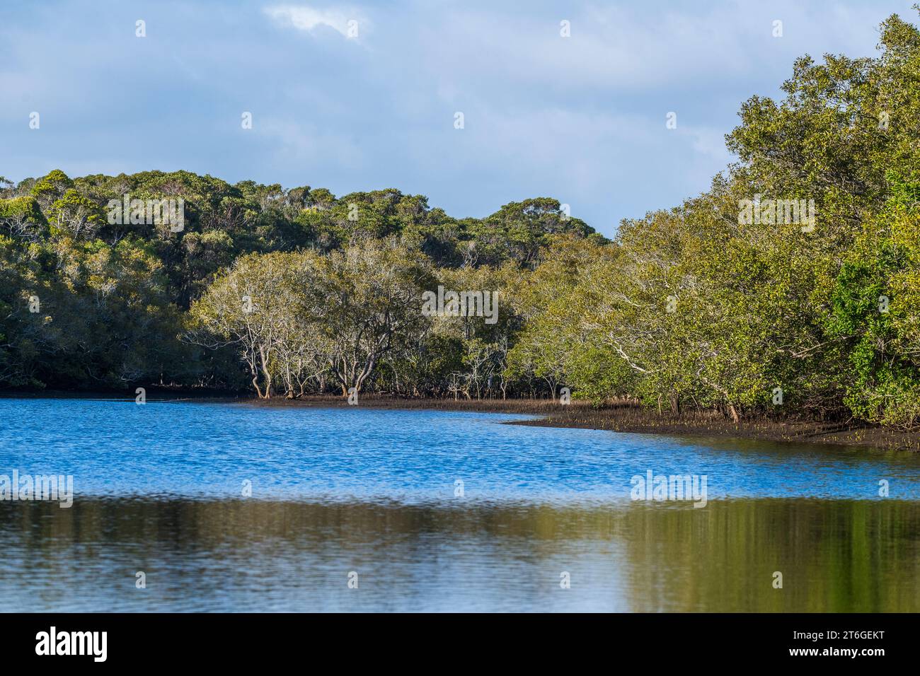 'Tyagarah Nature Reserve near Brunswick Heads and Byron Bay, New South Wales. Stock Photo