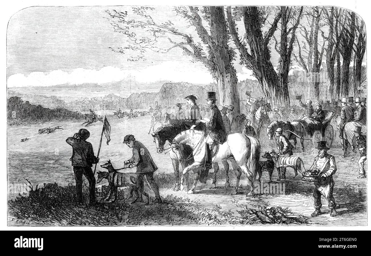 Coursing meeting at Hampton Park, 1860. Engraving  from a sketch by Mr. Elstob Marshall. '...the Hampton Meeting is the great rendezvous for Cockney coursers...This year the coursing at the Champion Meeting was...extremely good on the second [day]; but the hares are unusually scarce, and it will be difficult to find enough of them to last through the season. The grass, too, is unusually long, which, coupled with the wet season, has caused them to run rather weak...[The scene depicts] deciding the course for the Victoria Stakes between Mr. Purser's Pride of the Village, by Black Cloud, and Mr. Stock Photo