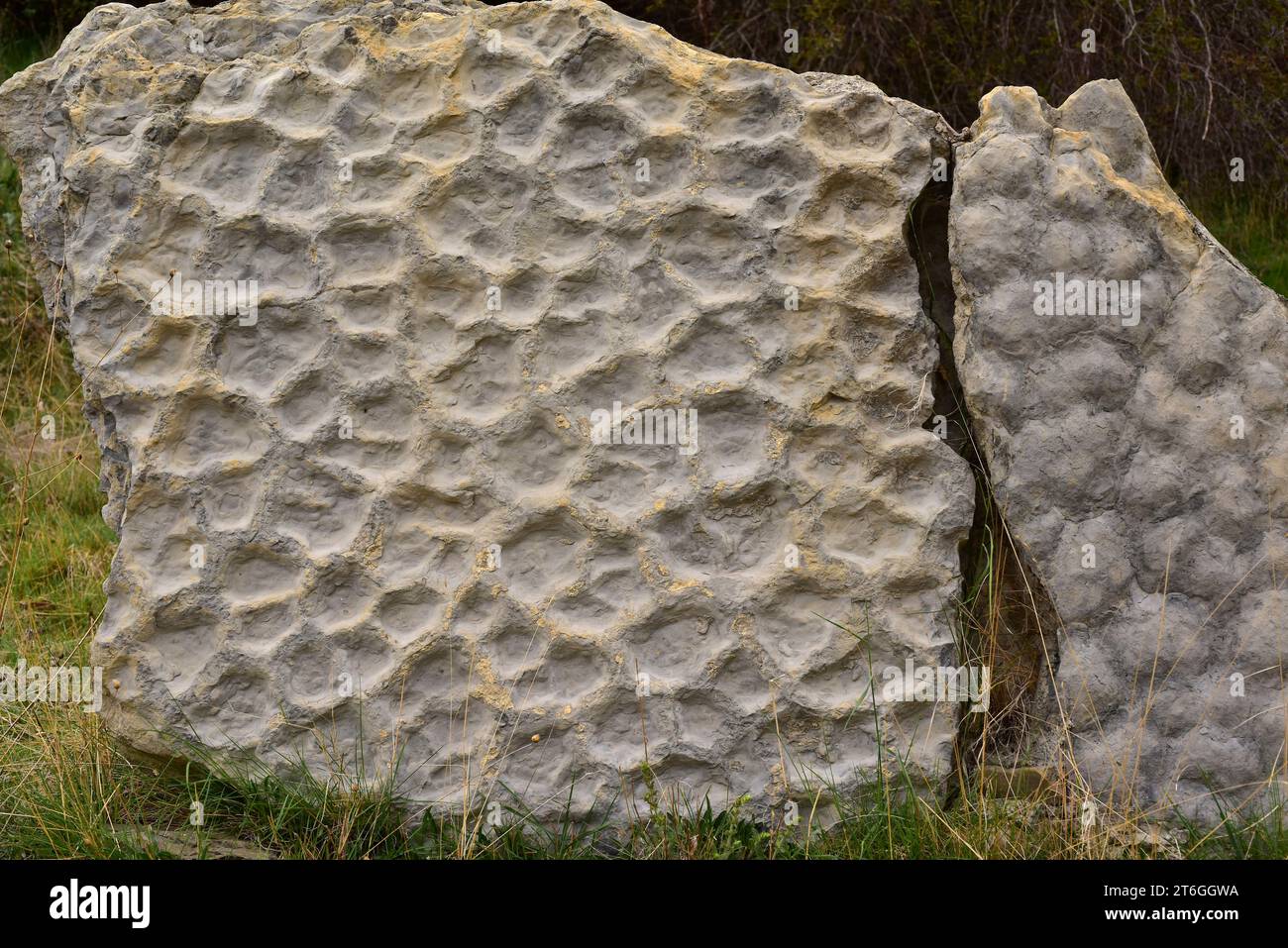 Fossilized mudcracks or desiccation cracks. This photo was taken in Valdecevillo, Enciso, La Rioja, Spain. Stock Photo
