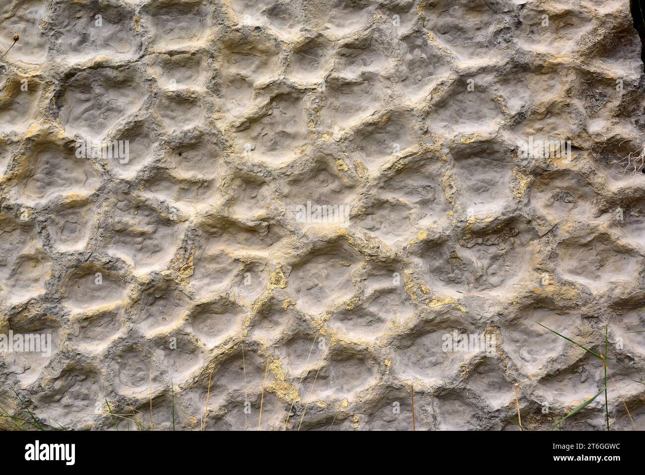Fossilized mudcracks or desiccation cracks. This photo was taken in Valdecevillo, Enciso, La Rioja, Spain. Stock Photo