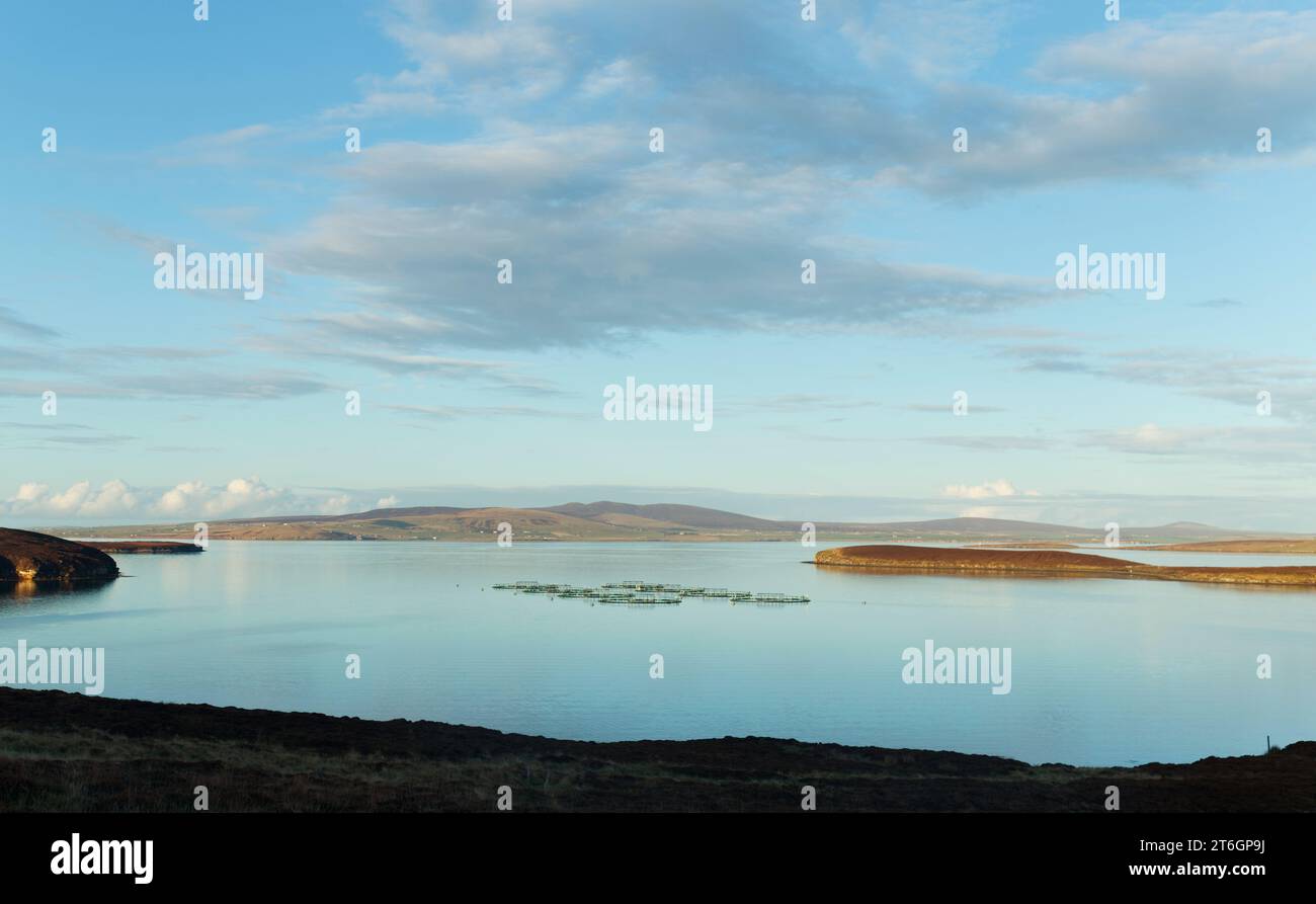 Salmon fish farming in Pegal Bay, Orkney Stock Photo