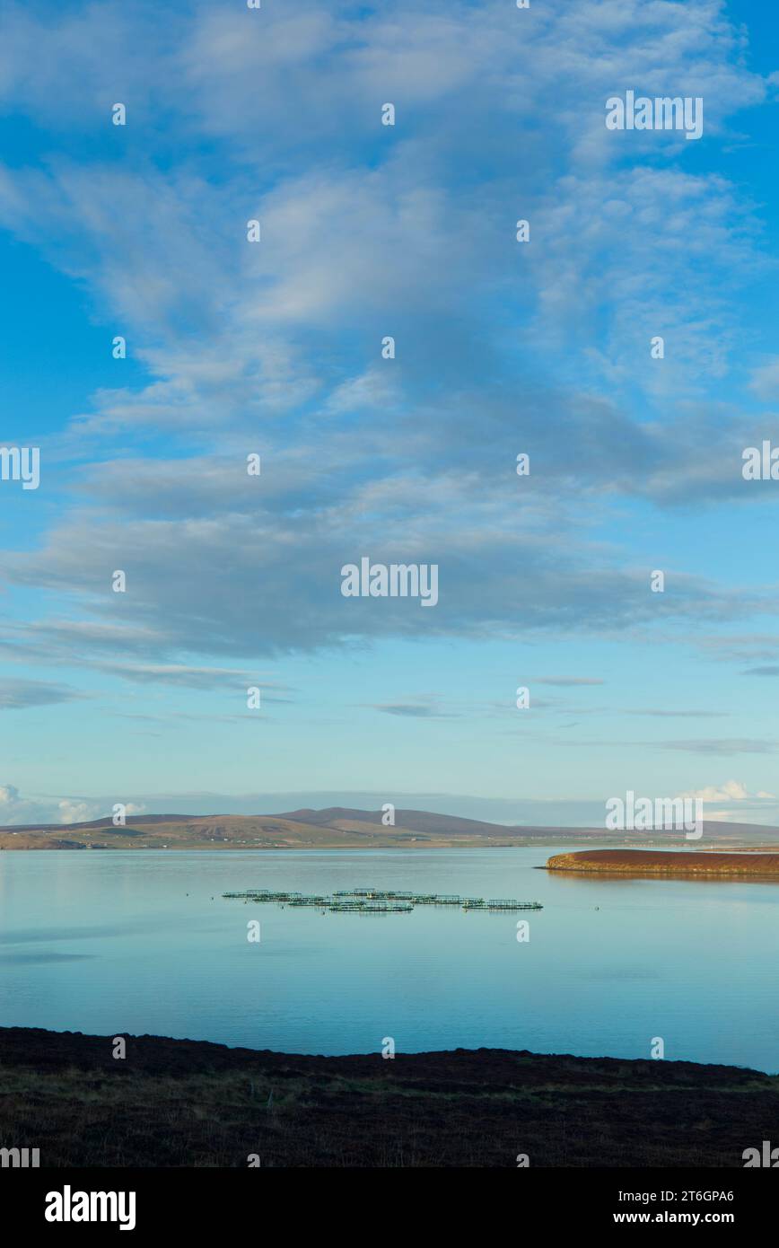 Salmon fish farming in Pegal Bay, Orkney Stock Photo