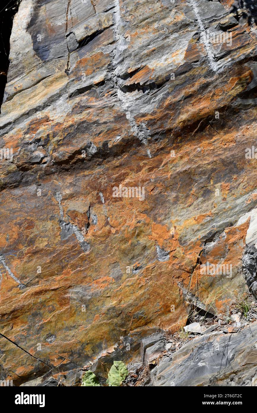 Cambrian lutite with iron oxides patina. This photo was taken in Pico ...