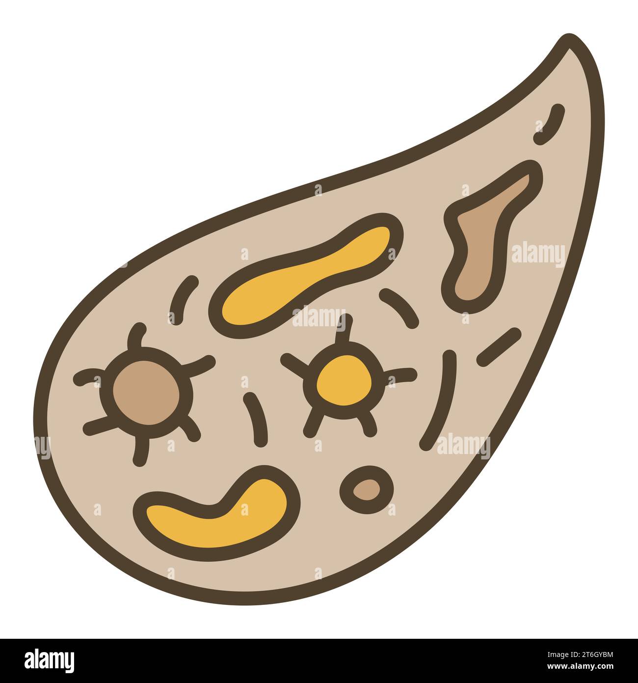 Bacteria or Microbe vector Infusorium concept colored icon or design element Stock Vector