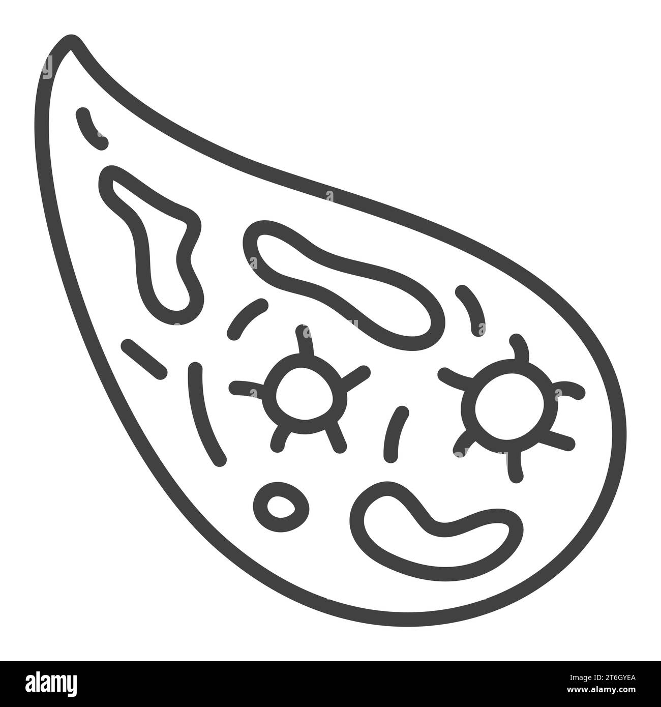 Microbe or Bacteria vector Infusorium concept outline icon or symbol ...