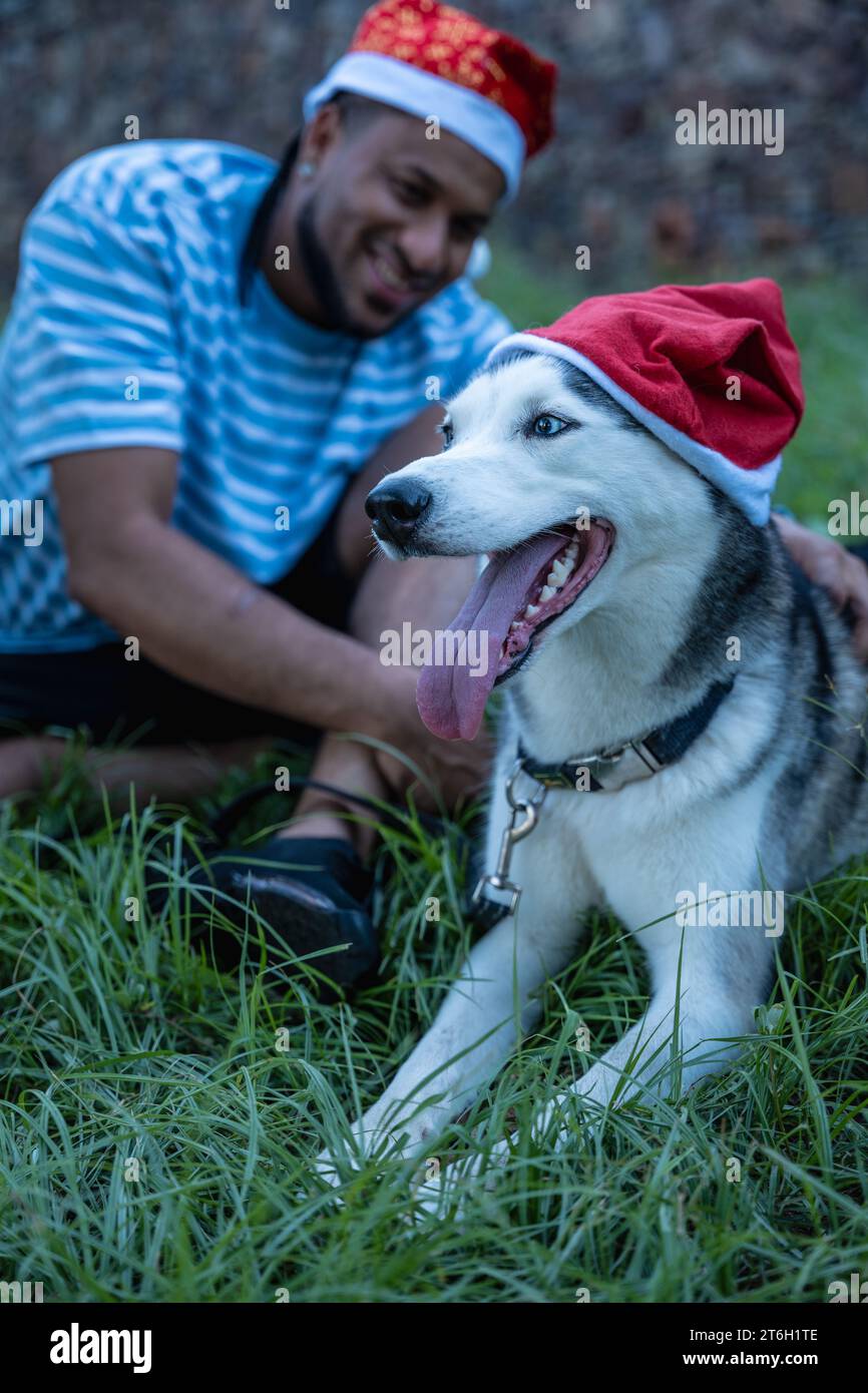 Man with his pet with Christmas hats. Stock Photo
