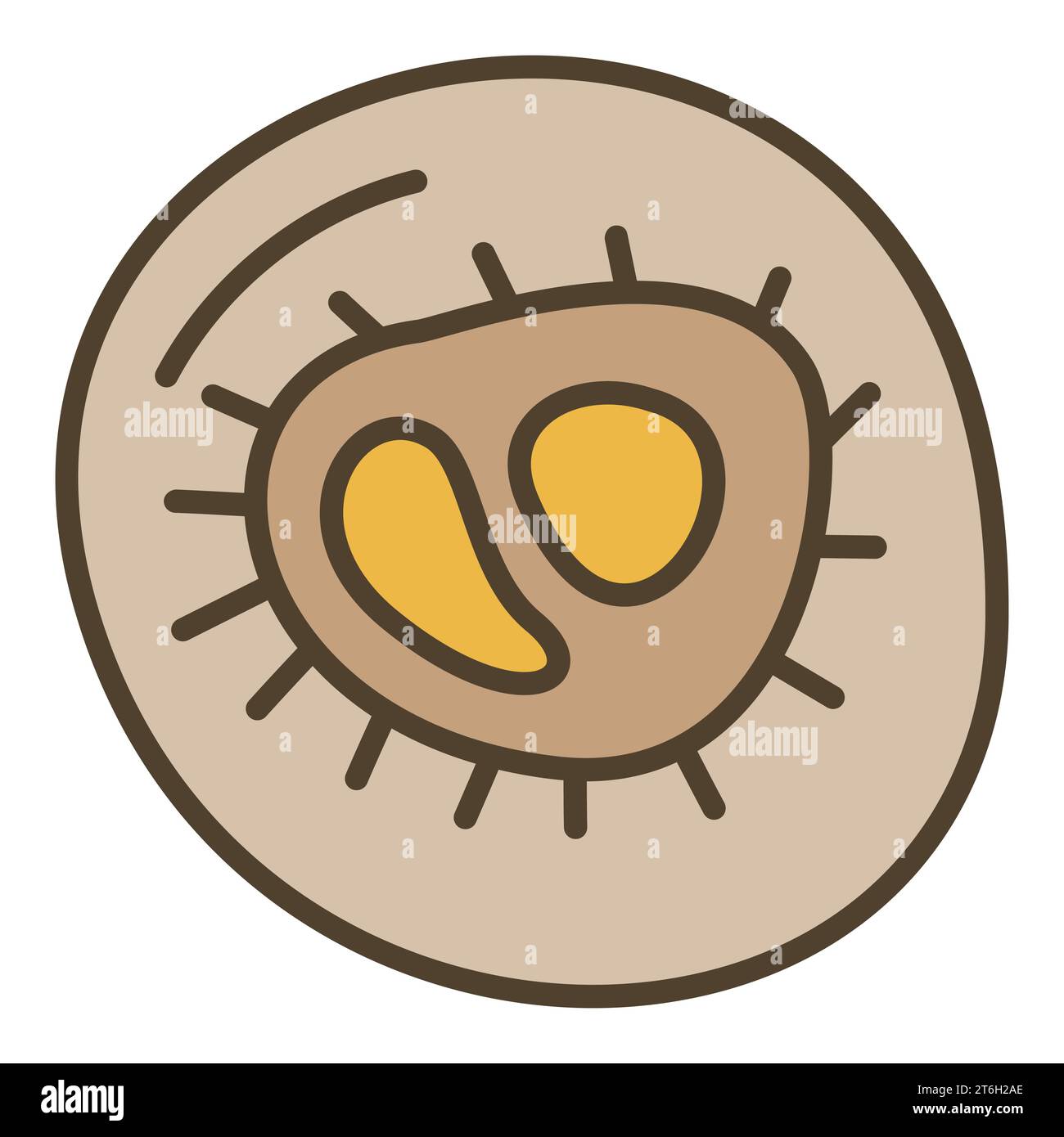 Funny bacteria pathogen vector hi-res stock photography and images - Alamy