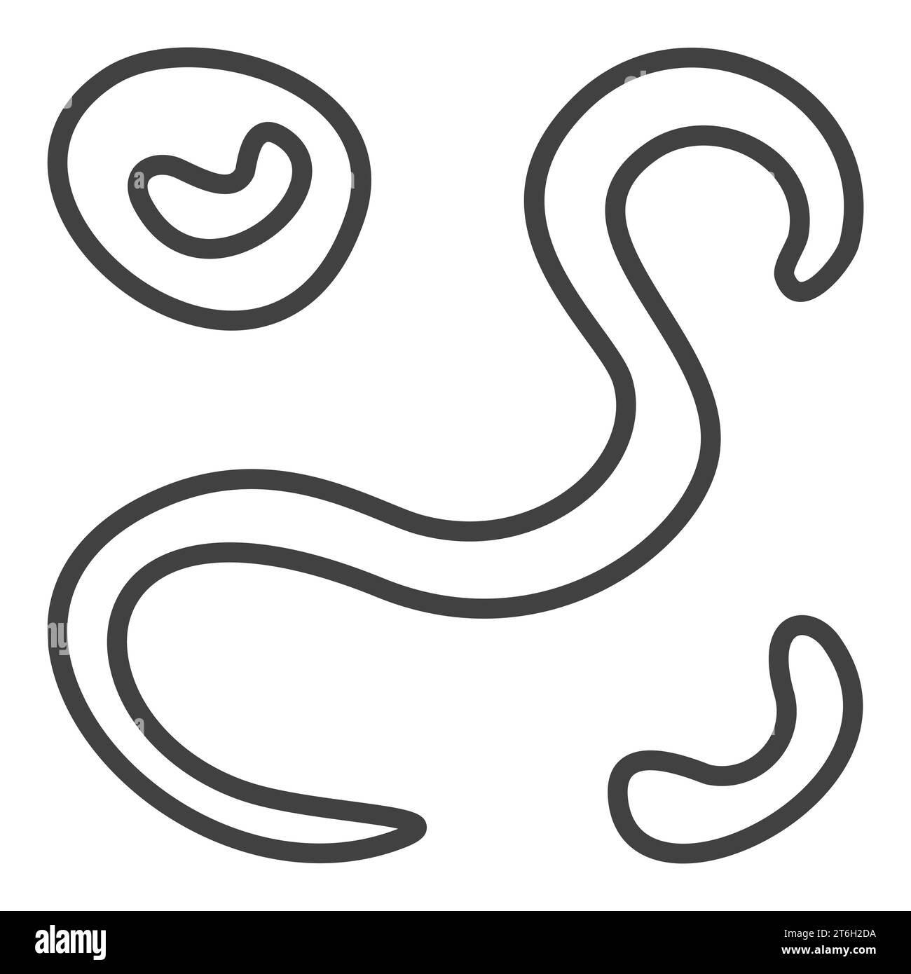 Bacterium and Viruses vector concept thin line icon or symbol Stock ...