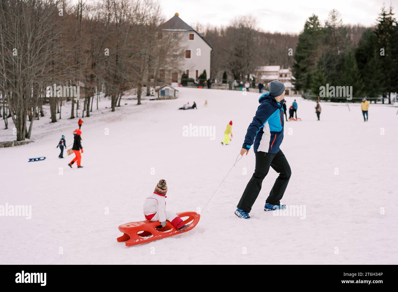 Dad drags a child in a sled by a rope up a snowy hill with resting ...