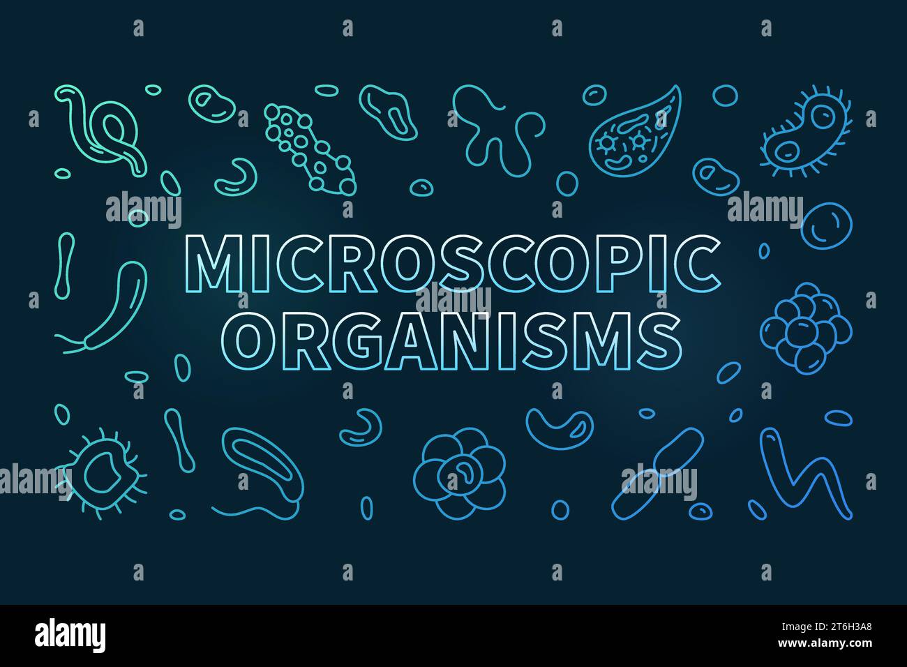 Microscopic Organisms vector Bacteriology concept thin line colored horizontal banner - Microorganisms illustration with dark background Stock Vector