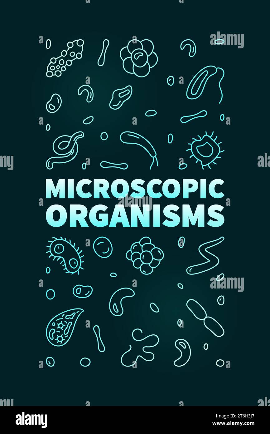 Microscopic Organisms Vector Bacteriology Concept Thin Line Colored Vertical Banner 2966