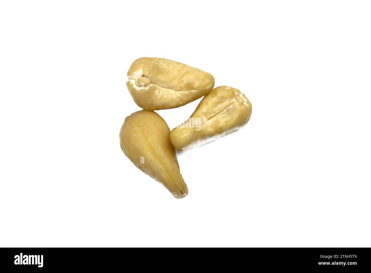 Raw Organic Cashew Nuts Seed On White Background Stock Photo