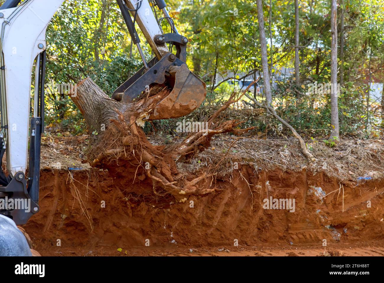Clearing land for housing complex using skid steer tractor to remove ...