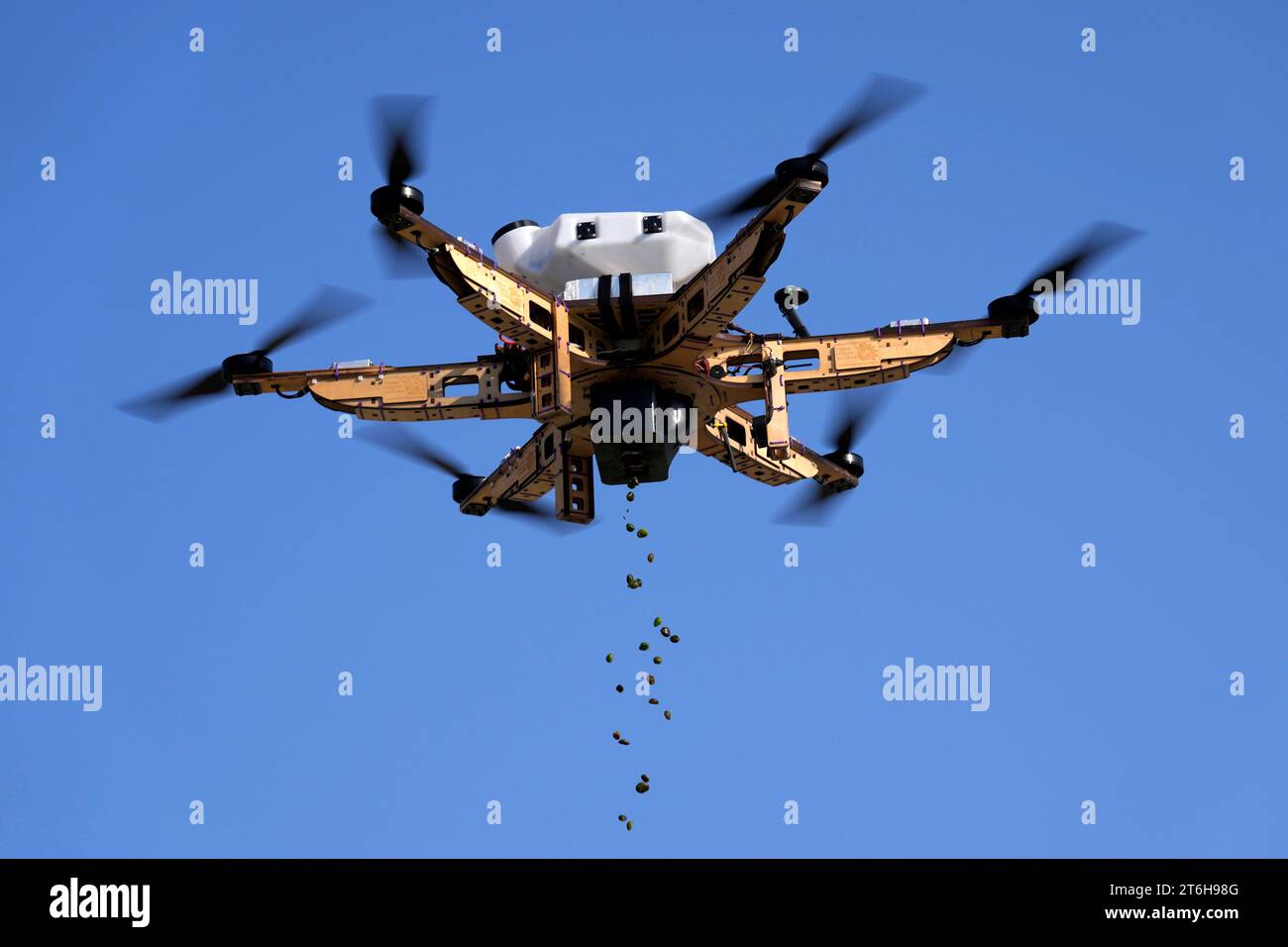 A drone pours mangrove seeds over a lagoon at Al Nouf area southwest of ...