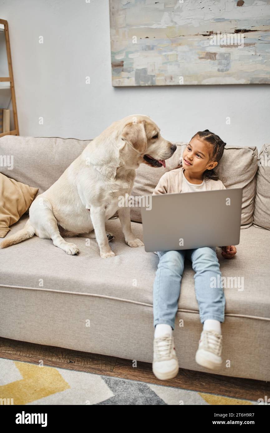 cute elementary age child sitting on sofa and using laptop near labrador dog in modern living room Stock Photo