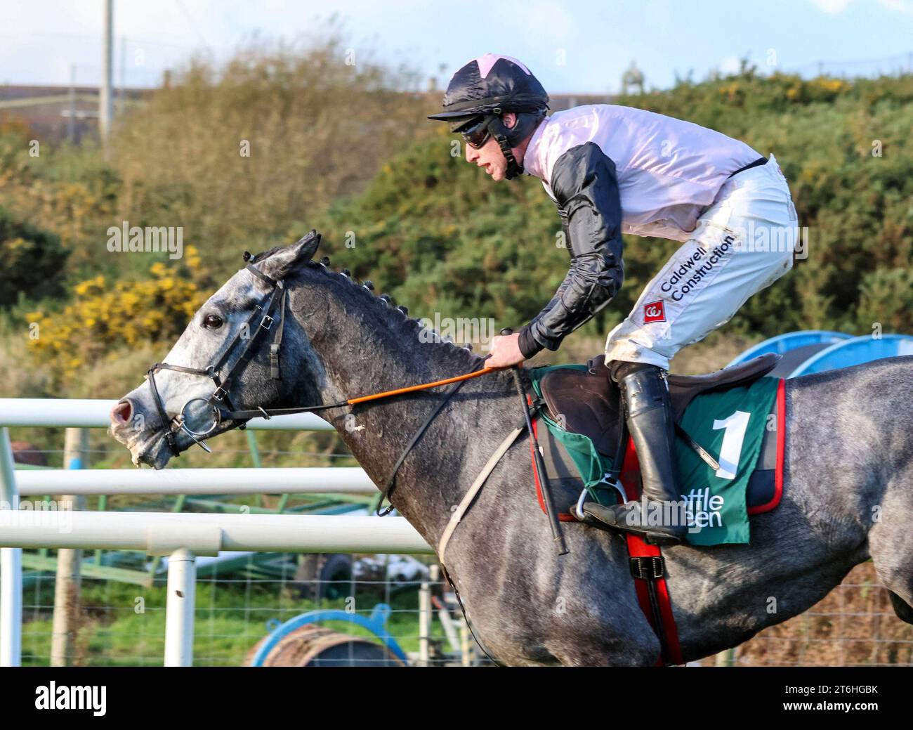 Down Royal Racecourse, Lisburn, Northern Ireland. 10th Nov 2023. The Ladbrokes Festival of Racing (Day 1) got underway today after last week's weather-related postponement.The feature race of the day was the BOTTLEGREEN HURDLE (GRADE 3) (4yo+) with €29,500 for the winner. The race was won by Irish Point (1) (half-white half-pink tunic) ridden by Jack Kennedy and trained by Gordon Elliott. Credit: CAZIMB/Alamy Live News. Stock Photo