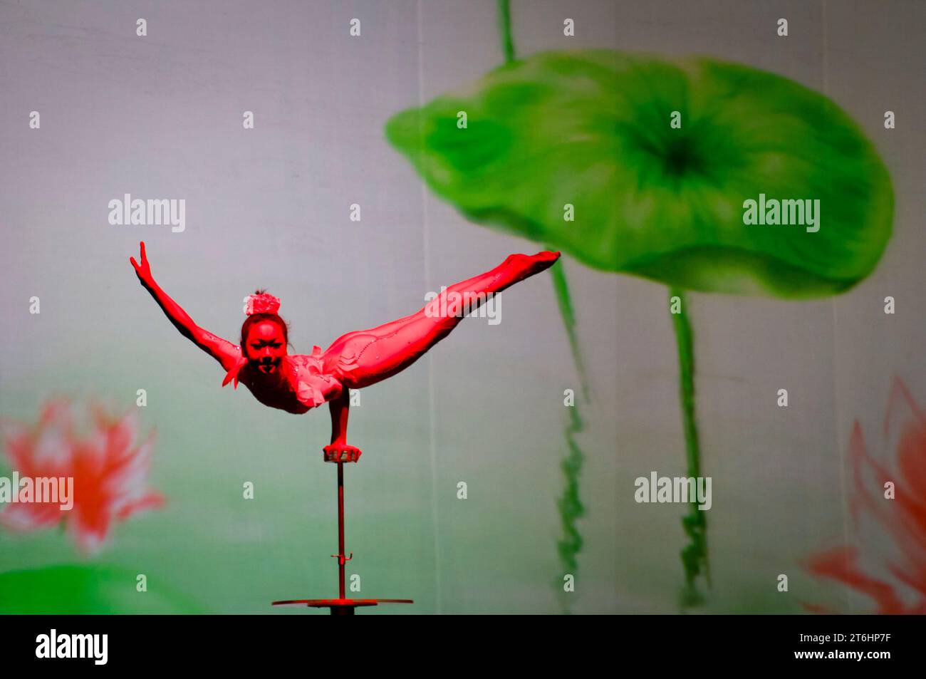 China, Shanghai, Acrobatic show, girl balancing on one hand Stock Photo