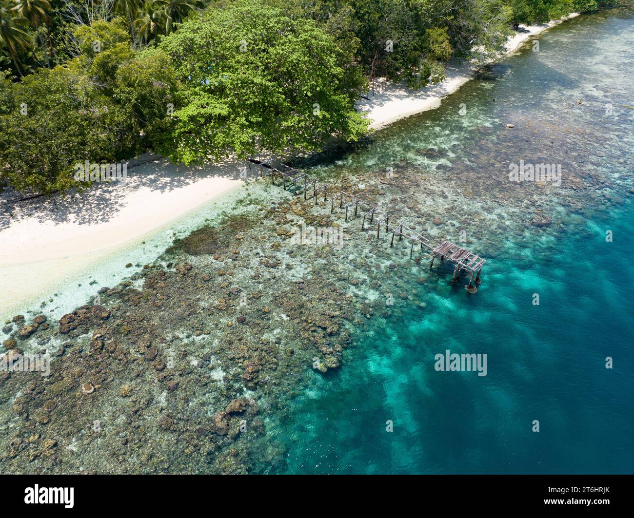 A shallow coral reef grows along the edge of a scenic island in Alyui Bay, Raja Ampat. This scenic area is known as the heart of the Coral Triangle. Stock Photo