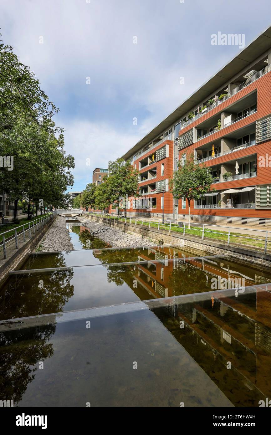 Duisburg, Ruhr area, North Rhine-Westphalia, Germany, sponge city, climate resilient city, modern residential buildings at the Speichergracht at the D Stock Photo