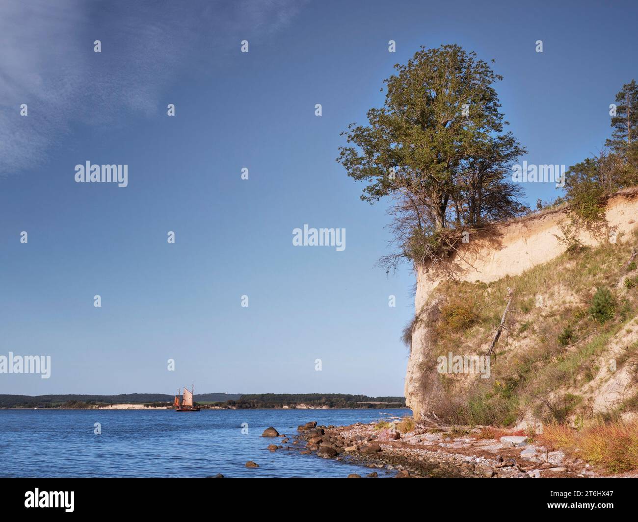 Promonient Tree Prominent tree hi-res stock photography and images - Alamy