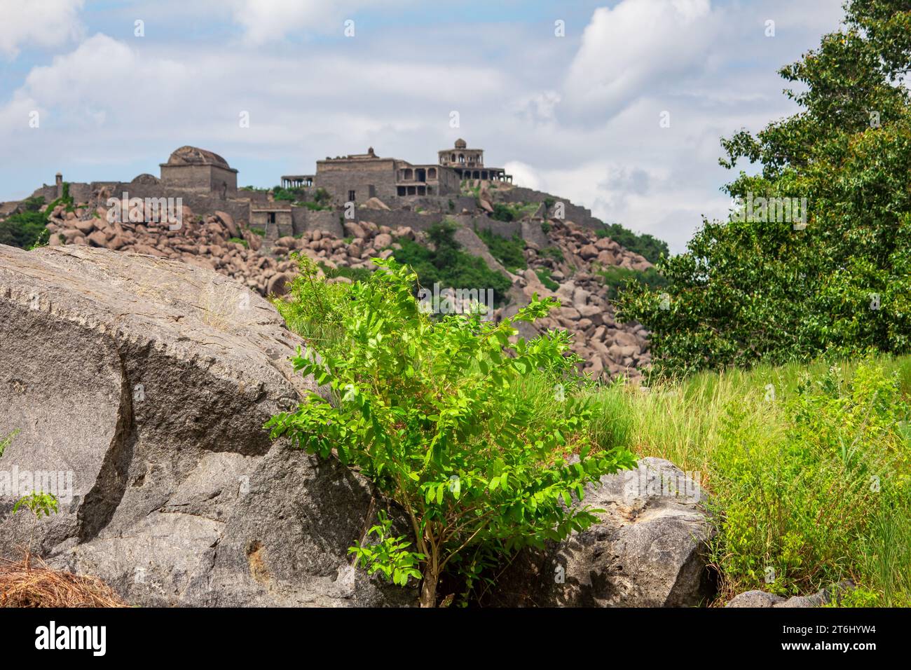View of the Queen's fort in the Gingee Fort complex in Villupuram district, Tamil Nadu, India. Focus set on foreground leaves. Stock Photo