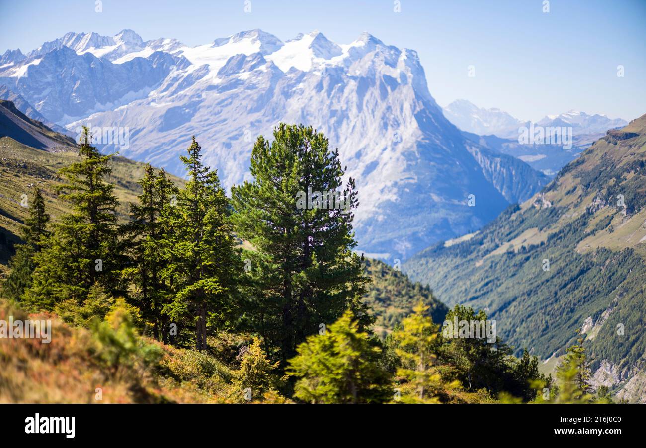 Alpine horn swiss alps hi-res stock photography and images - Alamy