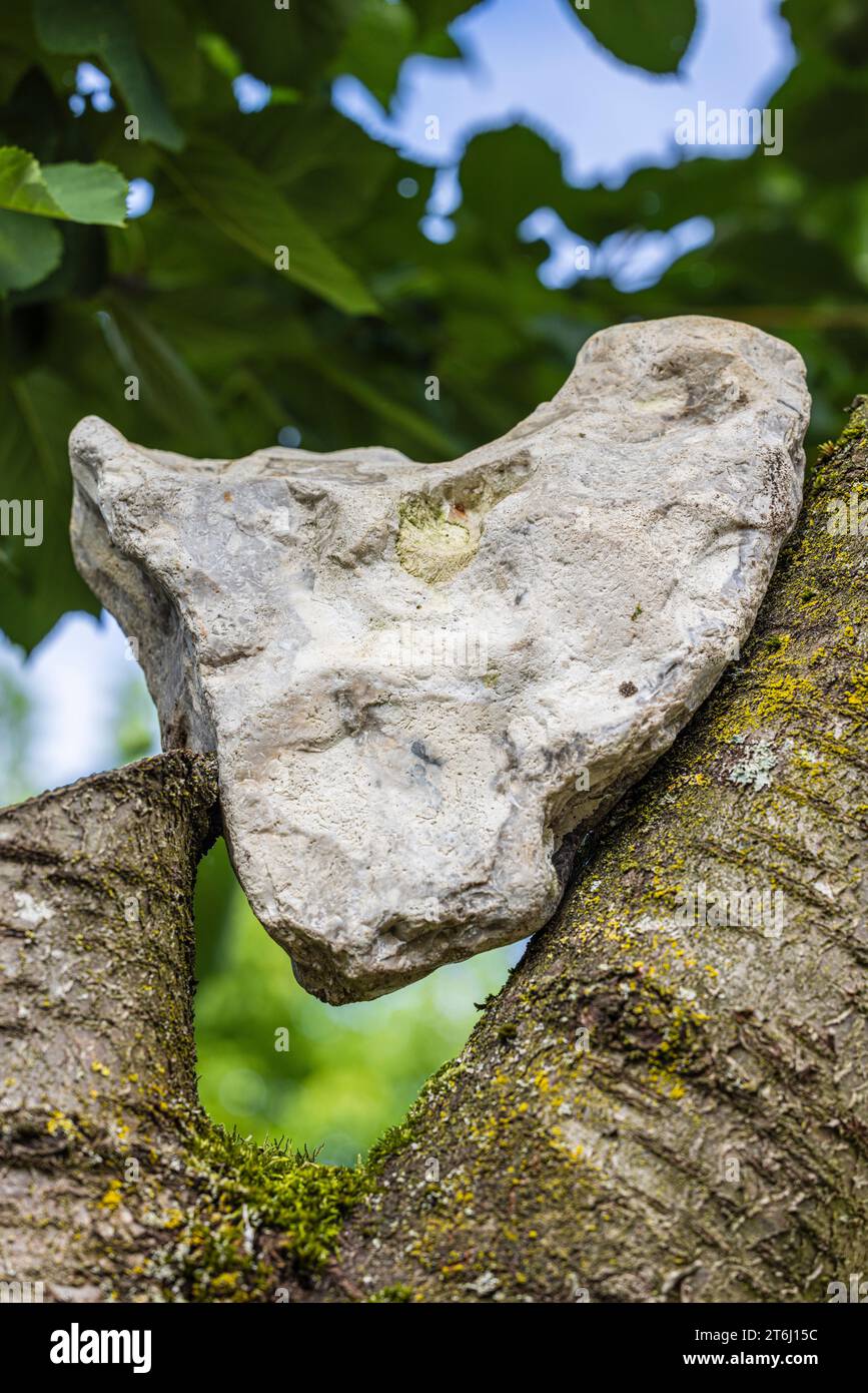 Heart shaped stone, flotsam and jetsam, garden decoration Stock Photo