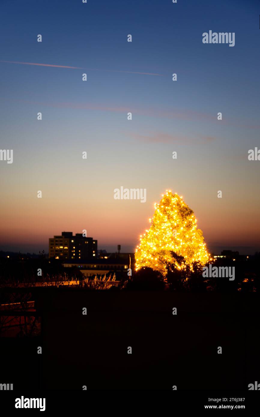 Christmas tree on a balcony Stock Photo Alamy