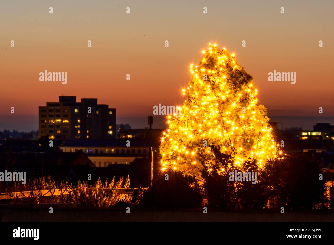 Christmas tree on a balcony Stock Photo Alamy
