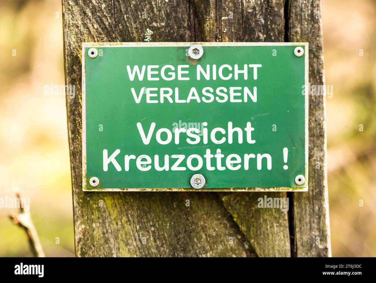 Sign: Do not leave the paths, beware of common european vipers (Vipera berus), warning of poisonous snakes in green and white hangs on a pole Stock Photo