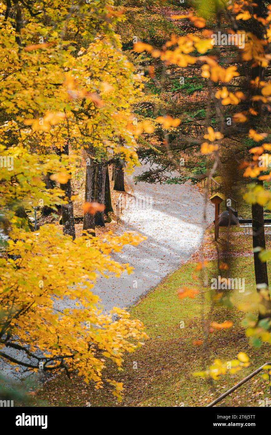 Alley in the spa gardens in autumn, Bad Wildbad, Black Forest, Germany Stock Photo