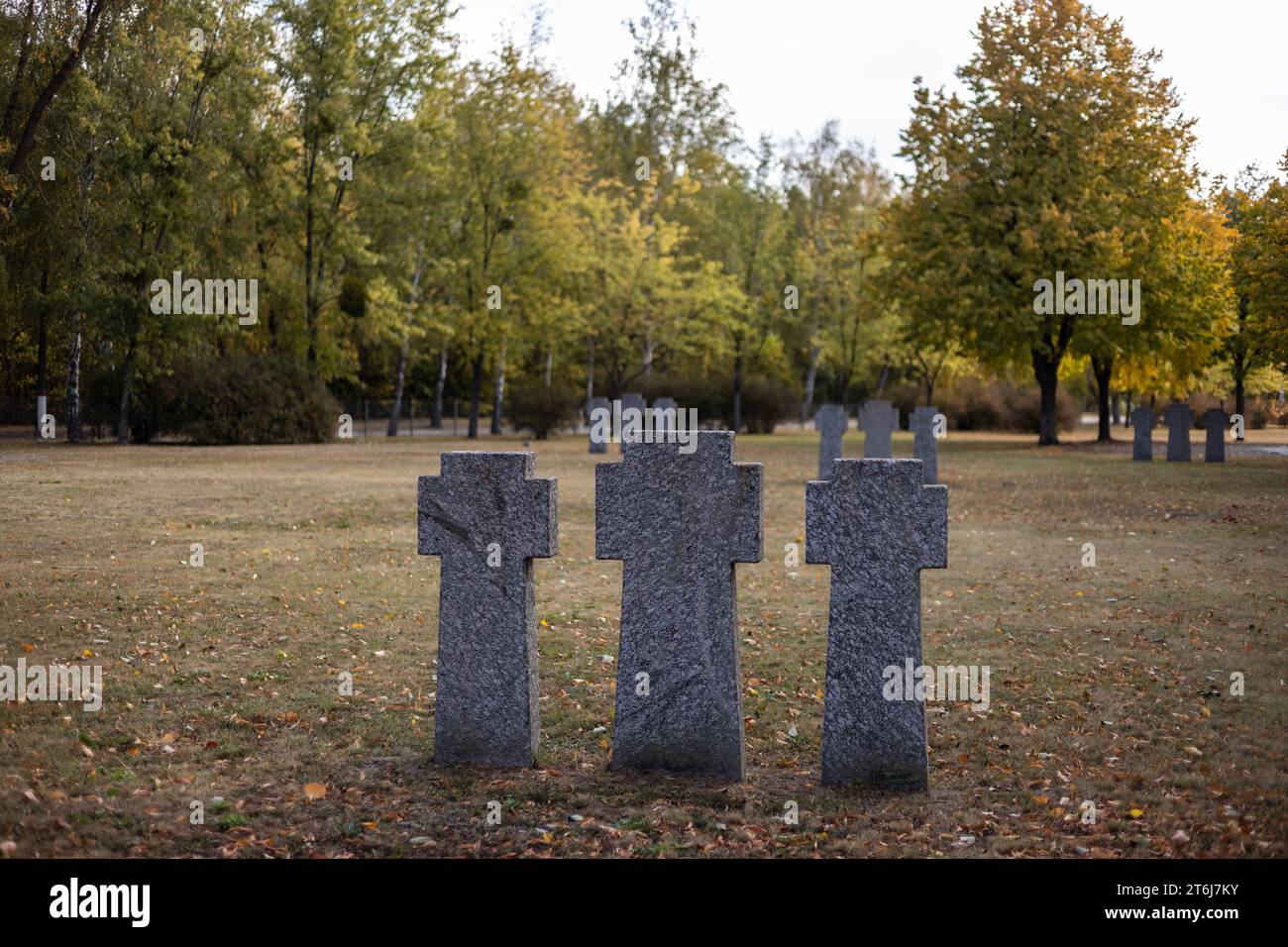 Stone tombstones in the German cemetery in the fall. Beautiful German cemetery near Kyiv. Many dead German soldiers of the dead during the 2nd World W Stock Photo