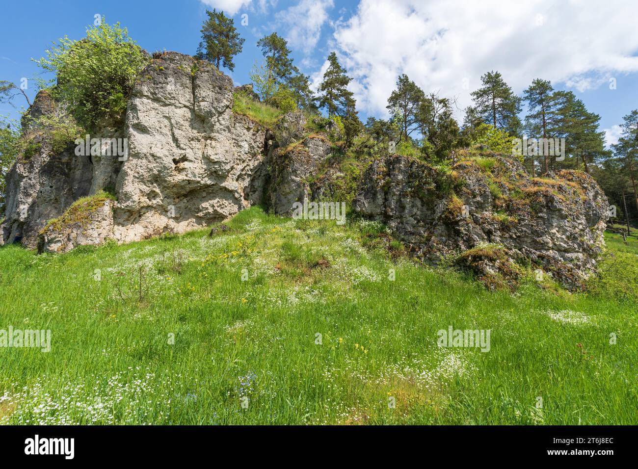 The Langerstein rock formation in Paradise Valley, Franconian Switzerland, Stadelhofen municipality, Bamberg district, Upper Franconia, Bavaria, Germany Stock Photo