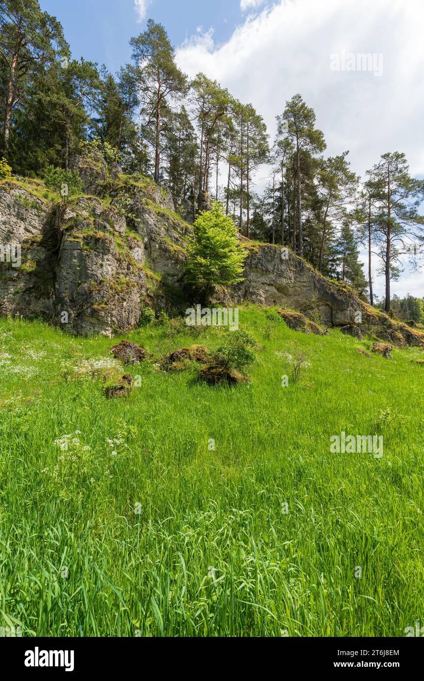 The Langerstein rock formation in Paradise Valley, Franconian Switzerland, Stadelhofen municipality, Bamberg district, Upper Franconia, Bavaria, Germany Stock Photo