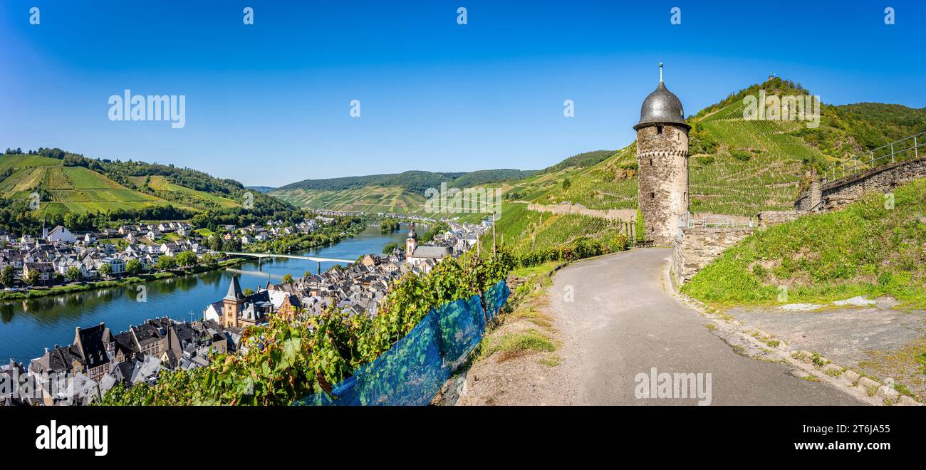 Panorama of Zell an der Mosel, town with long history with viticulture at the picturesque Mosel loop at Zeller Hamm and the famous wine 'Zeller Schwarze Katz', Stock Photo