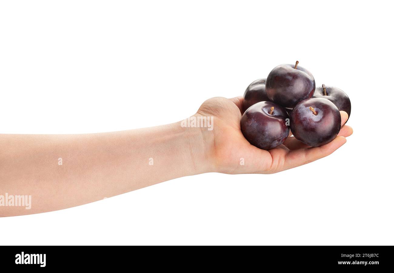 red plum in hand path isolated on white Stock Photo